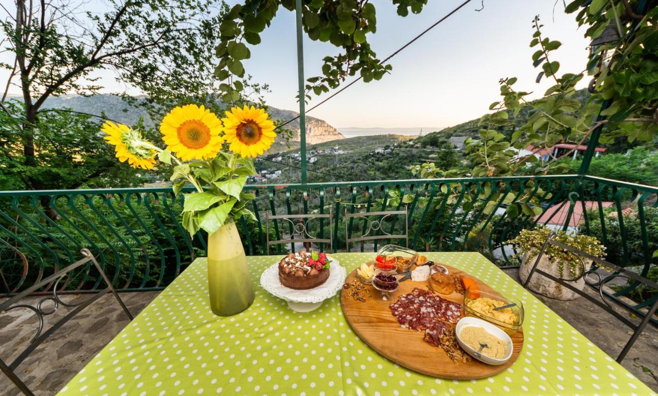 Villa Blanka Žrnovnica Exteriér fotografie